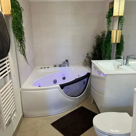 Διαμέρισμα Le Somptueux, Cosy / Balneo *